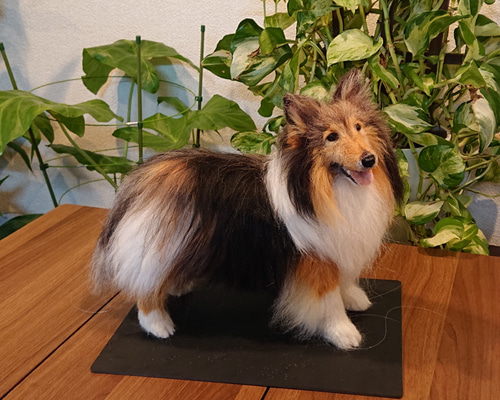 オーダー】羊毛フェルト 犬 猫 シェルティ ダックス ポメラニアン トイ