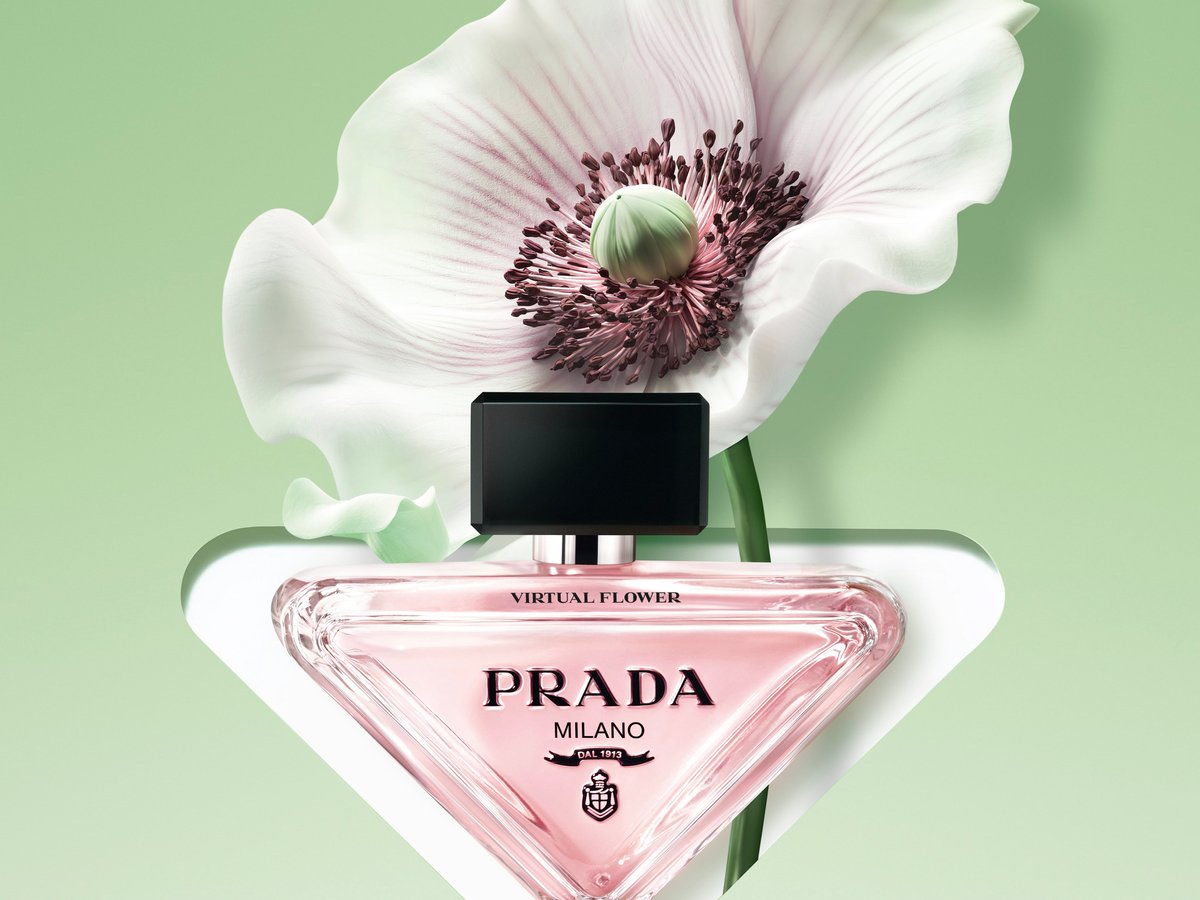 pradabeauty-paradoxe-002-