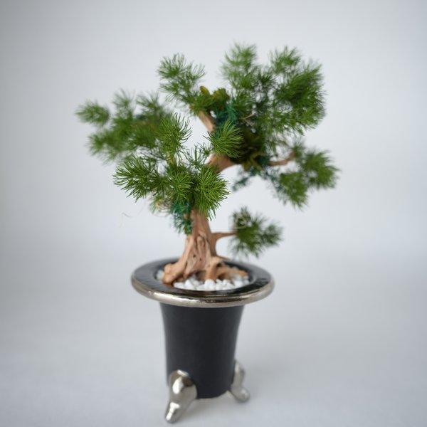ドライ盆栽 DryBONSAI 【WABI】 - SK.PHYSIS | minne byGMOペパボ 国内