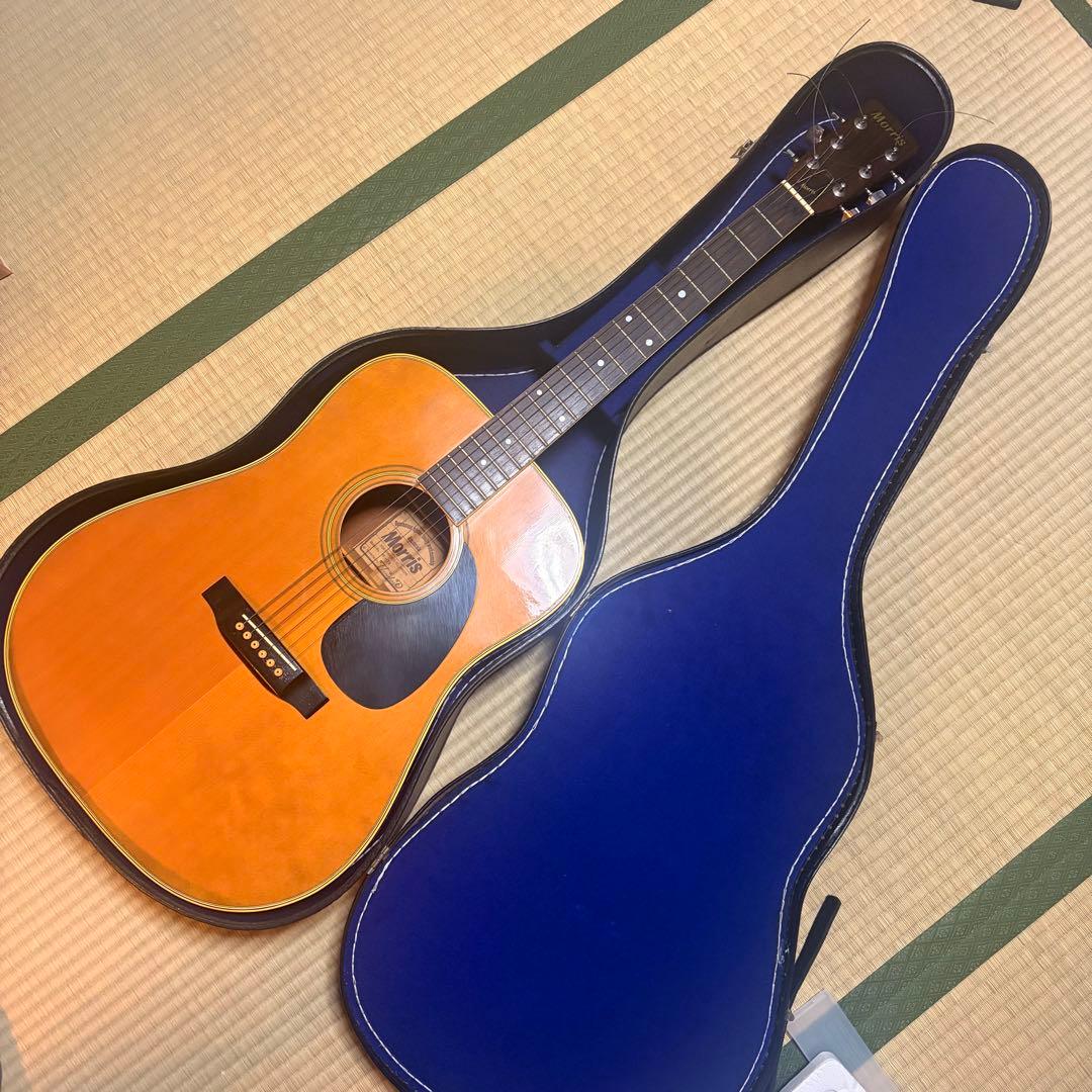 アコースティックギター　Morris Morrisフェア開催中です！12月4日まで！｜島村楽器 イオンモール岡崎店