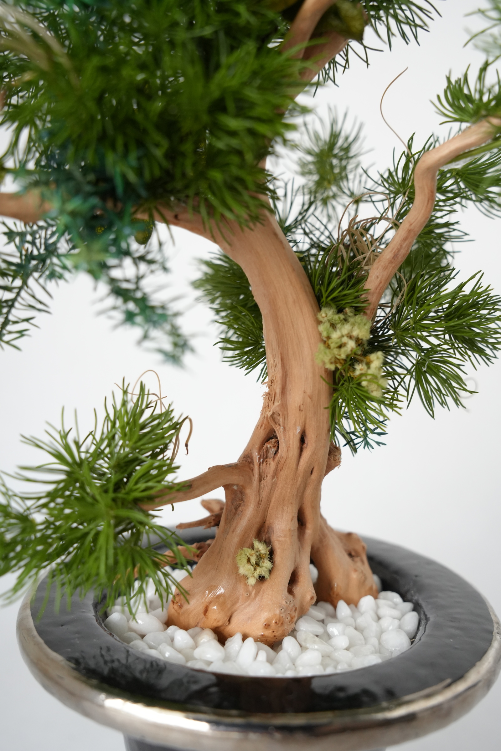 ドライ盆栽 DryBONSAI 【WABI】 - SK.PHYSIS | minne byGMOペパボ 国内
